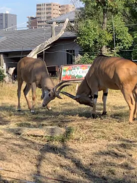 天王寺動物園に投稿された画像（2021/11/18）