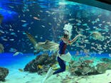 サンシャイン水族館に投稿された画像（2021/11/18）