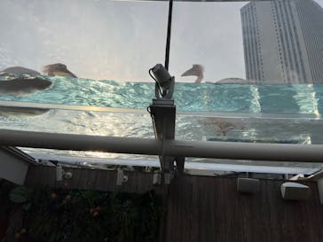 サンシャイン水族館に投稿された画像（2021/11/18）