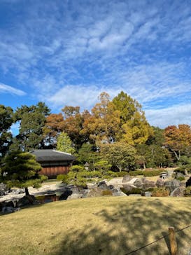 元離宮二条城に投稿された画像（2021/11/18）