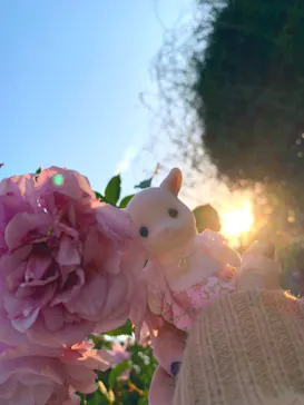 ひらかたパークに投稿された画像（2021/11/18）