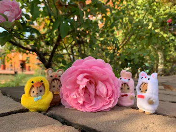 ひらかたパークに投稿された画像（2021/11/18）