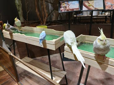 Moff animal world MARK IS みなとみらい店に投稿された画像（2021/11/18）