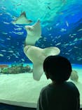 サンシャイン水族館に投稿された画像（2021/11/19）