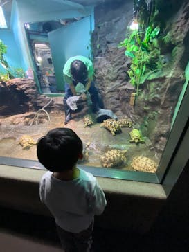 サンシャイン水族館に投稿された画像（2021/11/18）