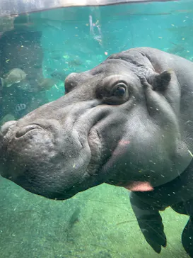 天王寺動物園に投稿された画像（2021/11/18）