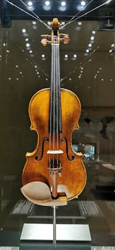 河口湖 音楽と森の美術館に投稿された画像（2021/11/19）