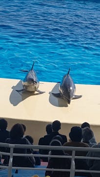 マリンワールド海の中道に投稿された画像（2021/11/19）