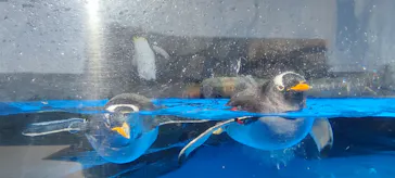 仙台うみの杜水族館に投稿された画像（2021/11/19）