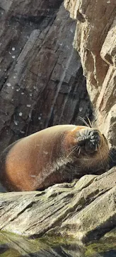 仙台うみの杜水族館に投稿された画像（2021/11/19）