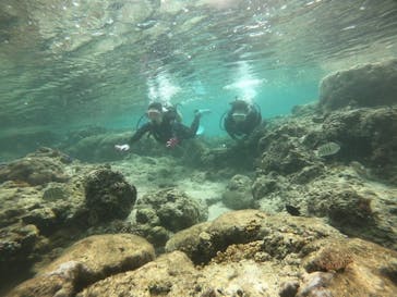 武藤潜水に投稿された画像（2021/11/19）