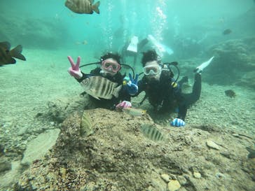 武藤潜水に投稿された画像（2021/11/19）