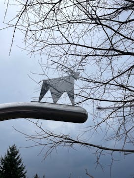 旭川市旭山動物園に投稿された画像（2021/11/19）