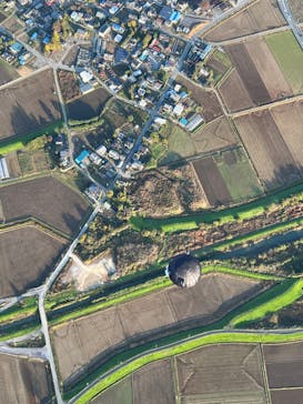 ウイニングバルーンクラブに投稿された画像（2021/11/18）