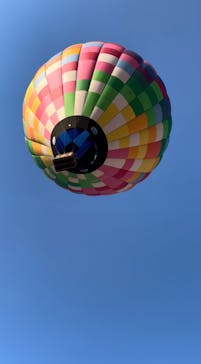 ウイニングバルーンクラブに投稿された画像（2021/11/18）