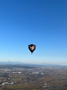 ウイニングバルーンクラブに投稿された画像（2021/11/18）