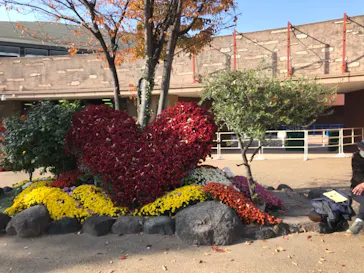 ひらかたパークに投稿された画像（2021/11/19）