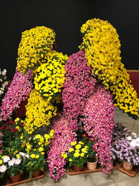 ひらかたパークに投稿された画像（2021/11/19）