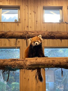 伊豆シャボテン動物公園に投稿された画像（2021/11/19）