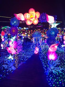 伊豆ぐらんぱる公園に投稿された画像（2021/11/19）