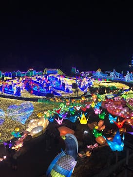 伊豆ぐらんぱる公園に投稿された画像（2021/11/19）