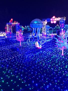 伊豆ぐらんぱる公園に投稿された画像（2021/11/19）