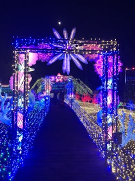 伊豆ぐらんぱる公園に投稿された画像（2021/11/19）