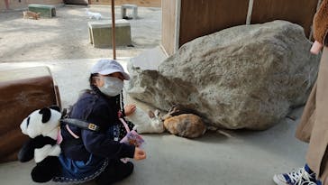 群馬サファリパークに投稿された画像（2021/11/19）