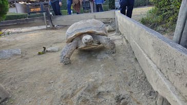 群馬サファリパークに投稿された画像（2021/11/19）