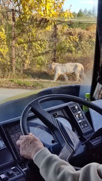 群馬サファリパークに投稿された画像（2021/11/19）