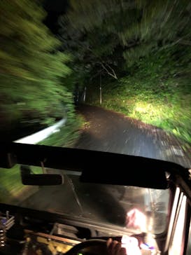 ミッドナイトツアー 奄美に投稿された画像（2021/11/19）