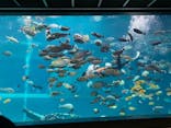 箱根園水族館に投稿された画像（2021/11/19）