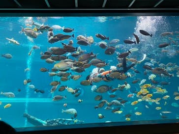 箱根園水族館に投稿された画像（2021/11/19）