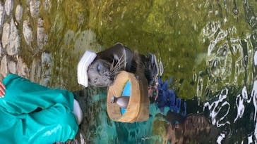 箱根園水族館に投稿された画像（2021/11/19）