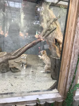 神戸どうぶつ王国に投稿された画像（2021/11/19）