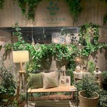 おふろcafé ハレニワの湯に投稿された画像（2021/11/19）