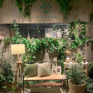 おふろcafé ハレニワの湯に投稿された画像（2021/11/19）