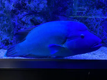 すみだ水族館に投稿された画像（2021/11/19）