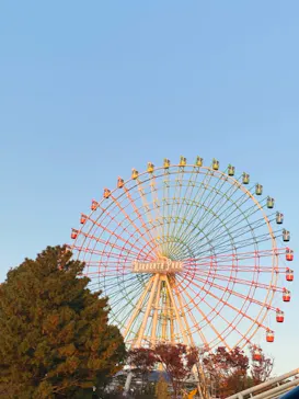 ひらかたパークに投稿された画像（2021/11/19）