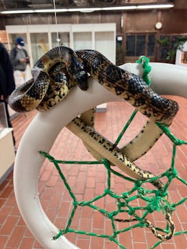 おきなわワールドに投稿された画像（2021/11/20）