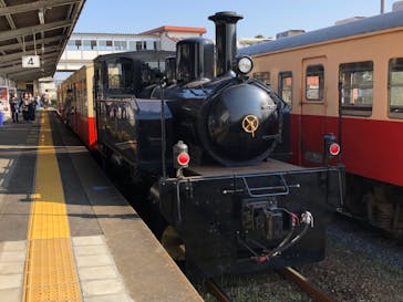 いちはらアート×ミックス2020＋に投稿された画像（2021/11/20）