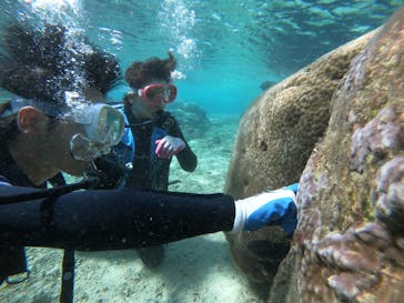 武藤潜水に投稿された画像（2021/11/20）