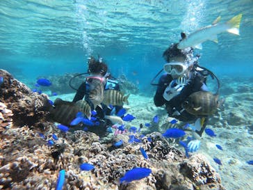 武藤潜水に投稿された画像（2021/11/20）