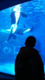 名古屋港水族館に投稿された画像（2021/11/20）