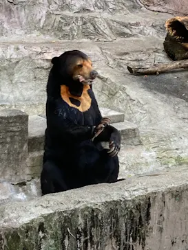 天王寺動物園に投稿された画像（2021/11/20）