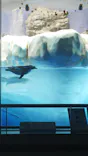 名古屋港水族館に投稿された画像（2021/11/20）
