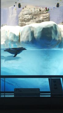 名古屋港水族館に投稿された画像（2021/11/20）