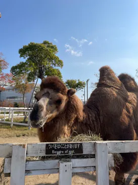 神戸どうぶつ王国に投稿された画像（2021/11/20）