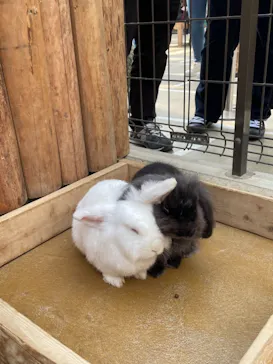 神戸どうぶつ王国に投稿された画像（2021/11/20）