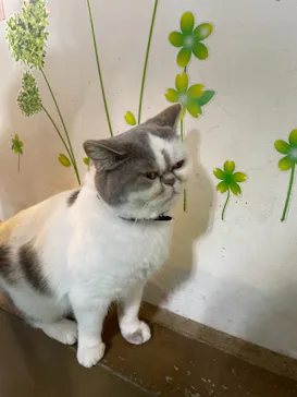 神戸どうぶつ王国に投稿された画像（2021/11/20）